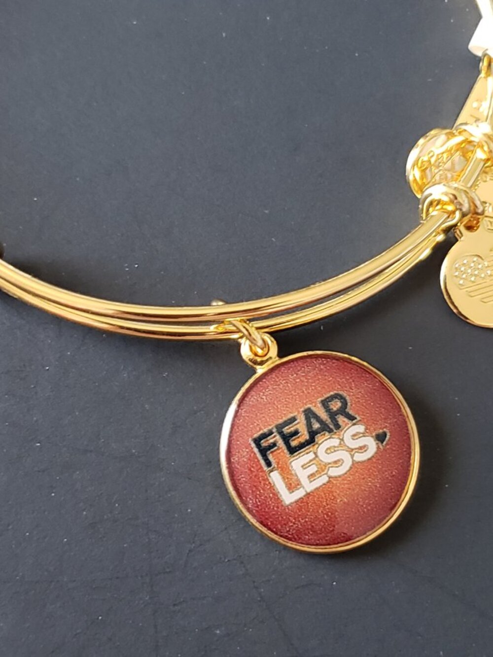New Alex and Ani Fearless Life is Good Bangle 755